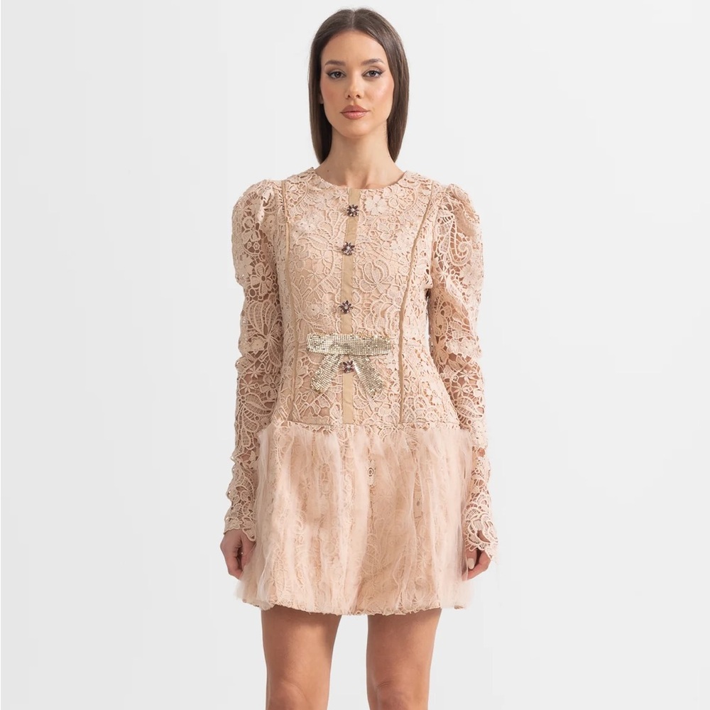 NWT Sierra Darien Elegant‎ Lace Long Sleeve Dress in Cream M